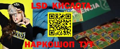 прущие грибы Тулун