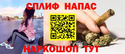 прущие грибы Тулун