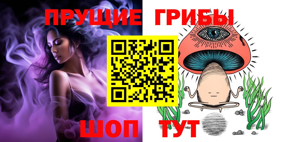 Малгобек  Галлюциногенные грибы Psilocybine cubensis  Вход с VPN  Галлюциногенные грибы GOLDEN TEACHER 