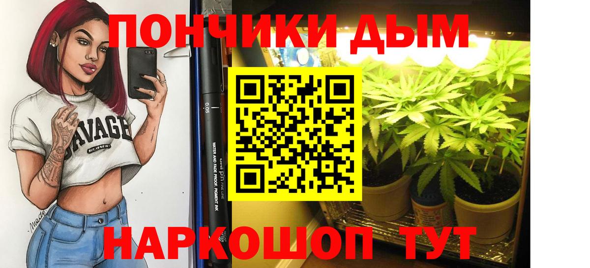 Бошки Шишки планчик  Вход с VPN  Канабис планчик  Малгобек 